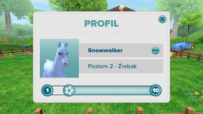 profil konia w grze Star Stable