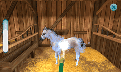 Kąpanie konia w grze Star stable