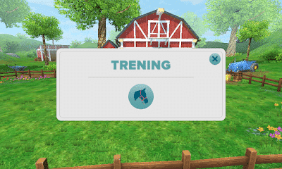 Treningi w Star Stable